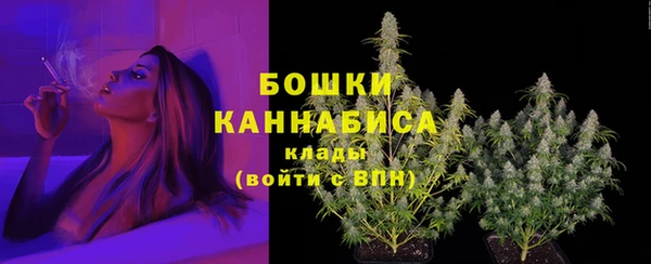 дживик Бородино