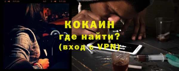 дживик Бородино