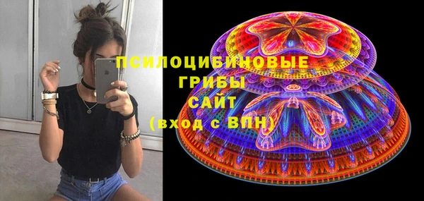 дживик Бородино